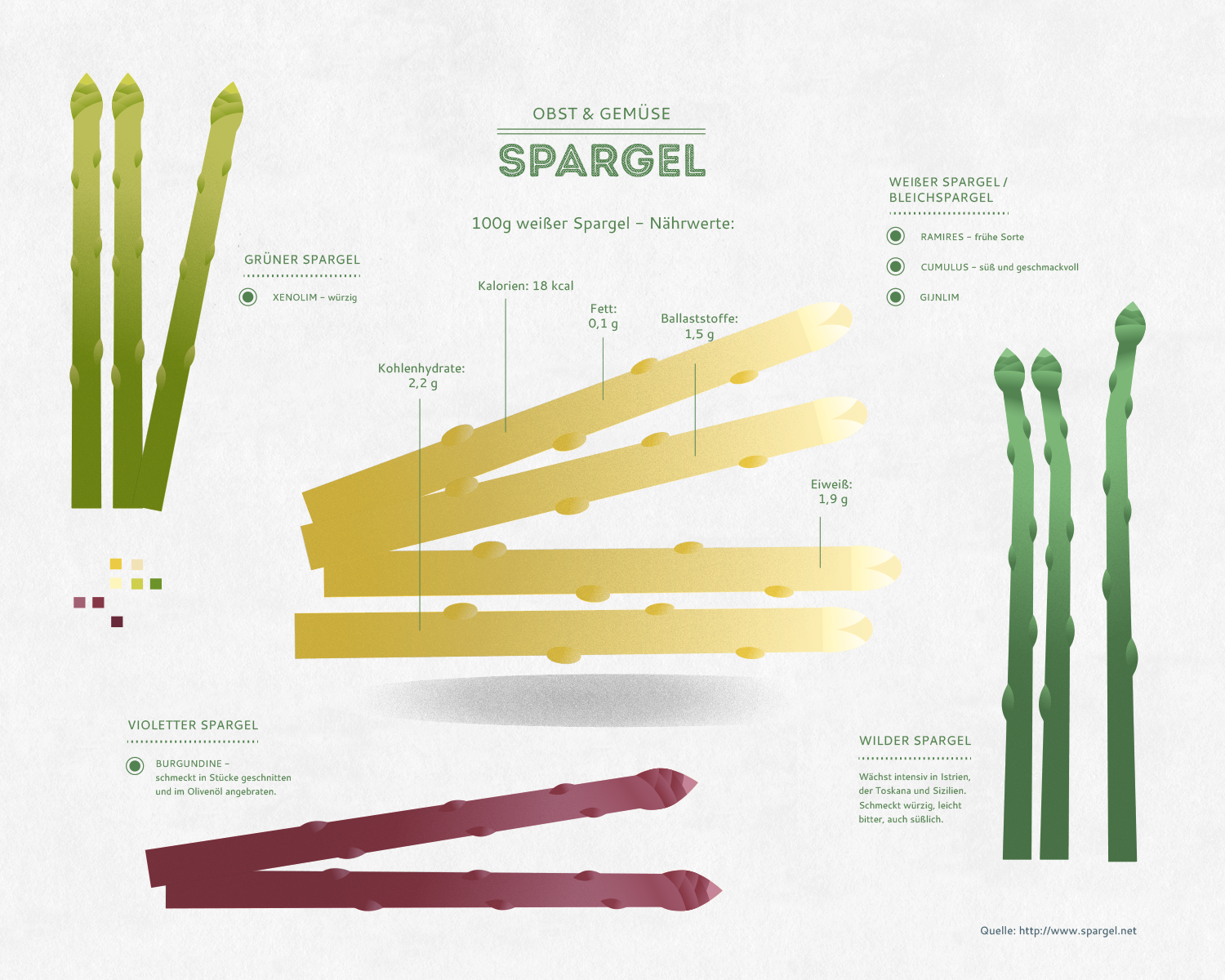 Spargel_groß