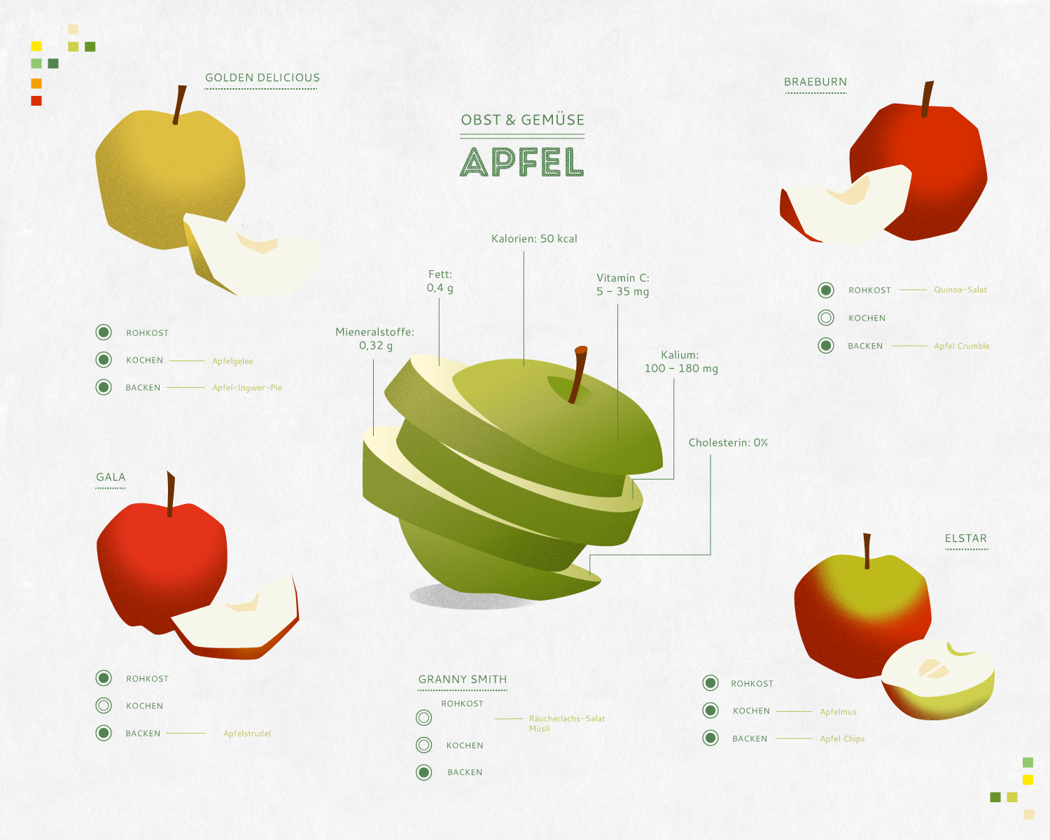 Illustration | Icons | Infografiken » Obst &amp; Gemüse. Der Apfel