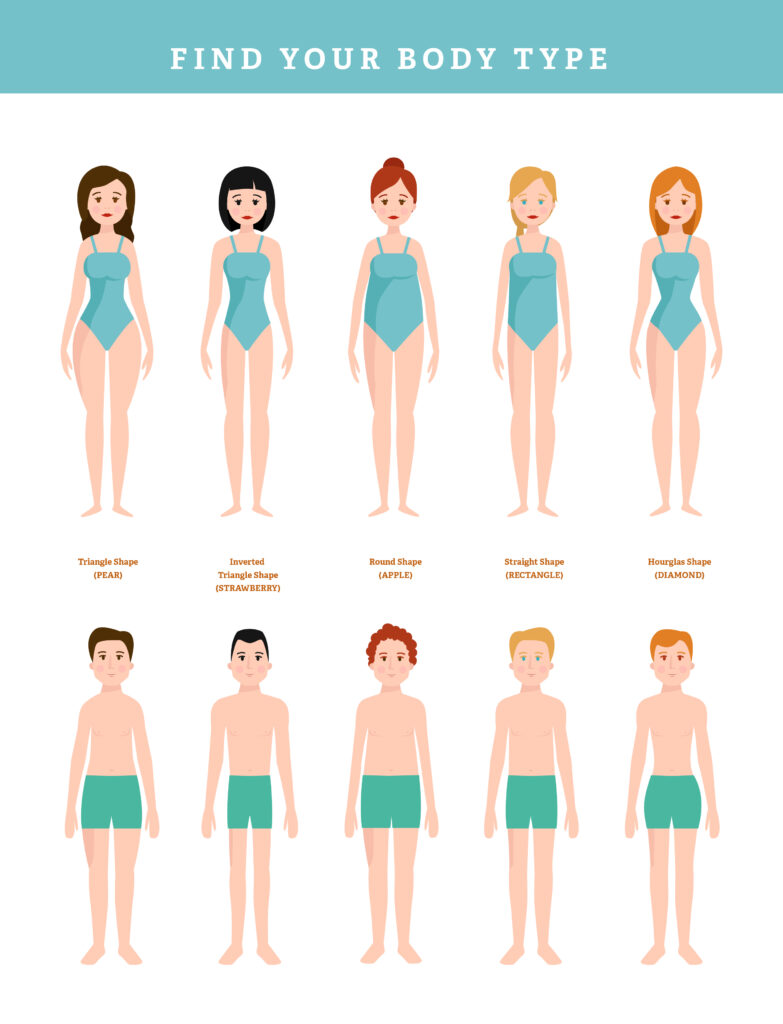 Body types - Illus | Icons | Infographics