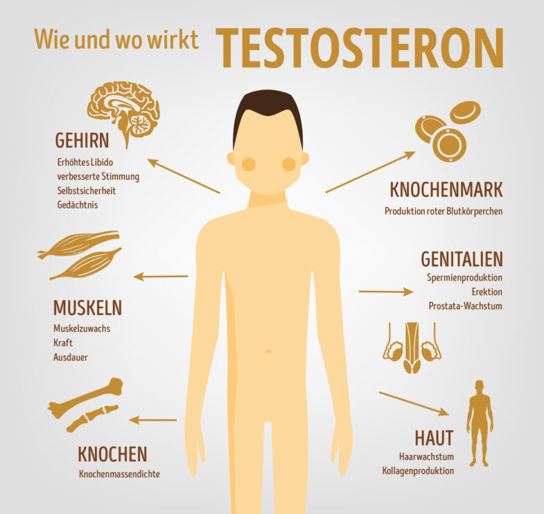 Testosteron